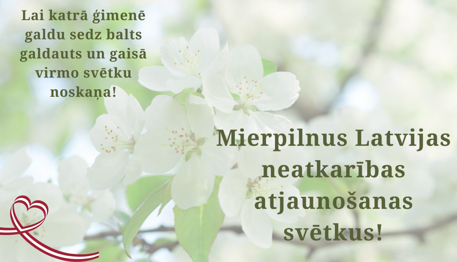 ābeļziedi, latvijas karoga krāsās lenta, apsveikuma teksts