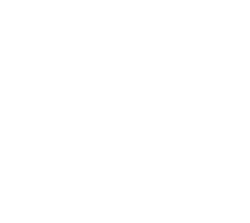 Veselības un darbspēju ekspertīzes ārstu valsts komisija