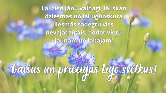 pļava, rudzupuķes, apsveikuma teksts Līgo svētkos